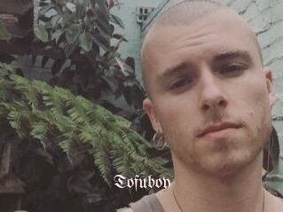 Tofu_boy
