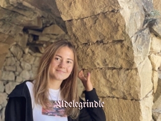 Udelegrindle