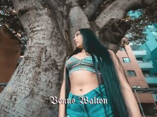 Venus_Walton