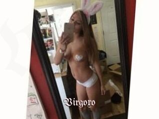 Virgoxo