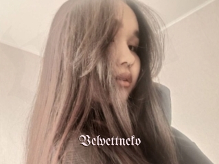 Velvettneko