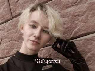 Vikigarren
