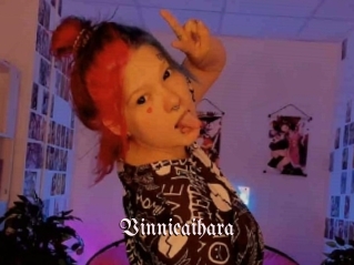Vinnieaihara