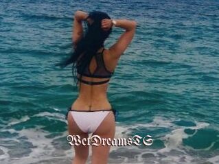 WetDreamsTS