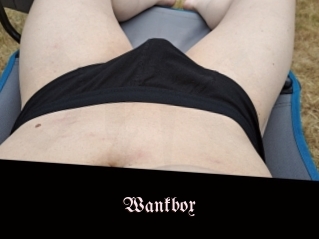 Wankbox
