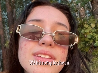 Whitneygleghorn