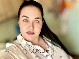Wilddaisy