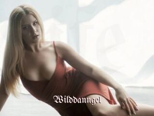 Wilddanngel