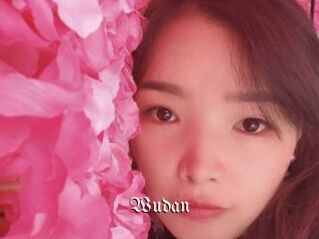 Wudan