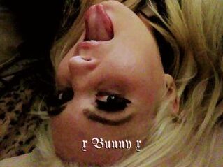 _x_Bunny_x_