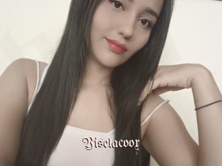 Yiselacoox
