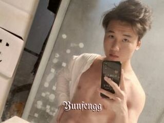 Yunfengg