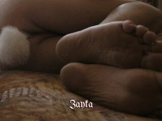 Zayka