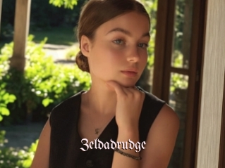 Zeldadrudge