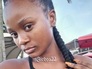 Ziebea22